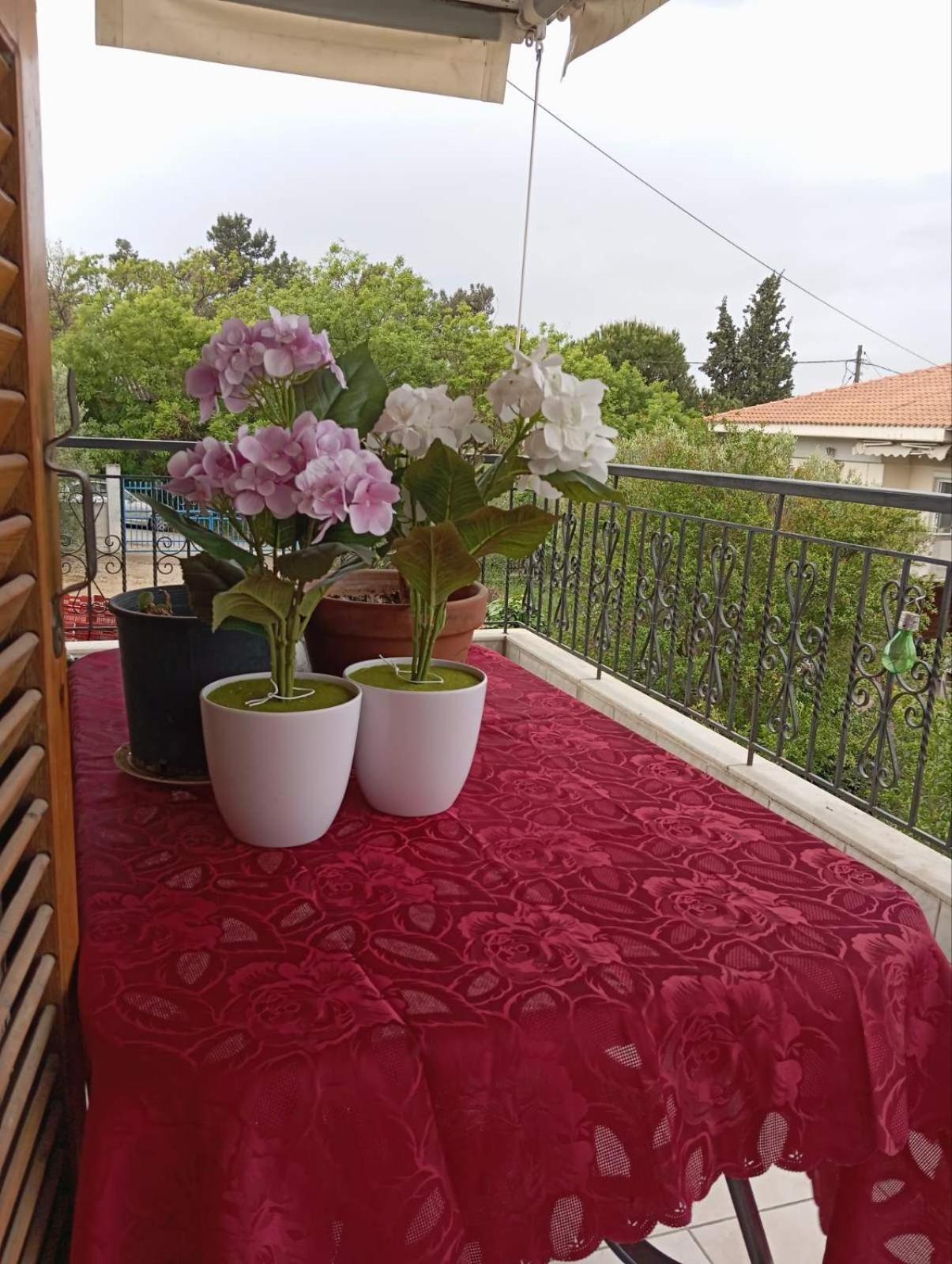 Apartment Aggela House